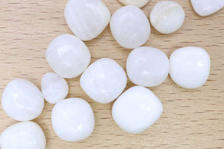 Tridacna heap jewel stones texture on half white light background. Pile mineral pebbles background. Place for text.の写真素材