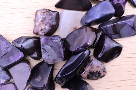 Sugilite jewel stone texture in tweezers on dark background. Macro closeup.