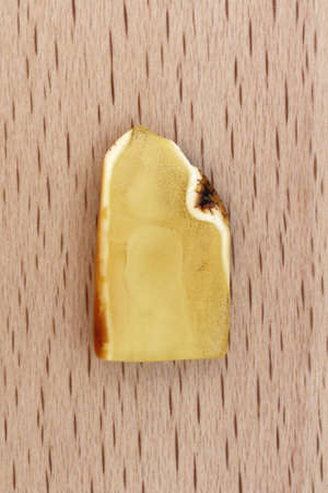 Amber jewel texture in tweezers on black background. Macro closeup.
