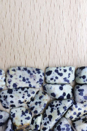 Dalmatian jasper jewel stone texture in tweezers on black background. Macro closeup.の写真素材