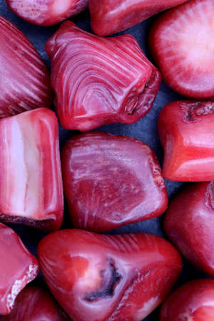 Red coral stones set texture on white light isolated backgroundの写真素材