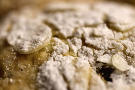 Cookie with almond pieces sprinkled with powdered sugar surface texture.