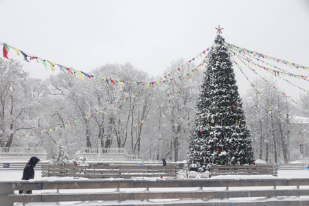 Landscape of a winter skating rink with a large Christmas treeの写真素材