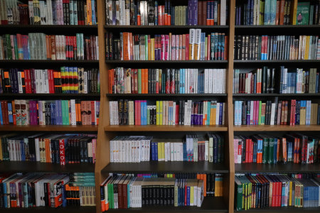 Bookshop showcase row stacks. Education books background.