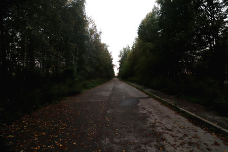 Asphalt road with forest trees. Inspirational background.