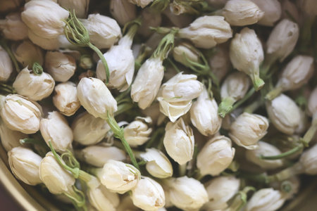 Close-up of fresh jasmine buds with green stems.の写真素材