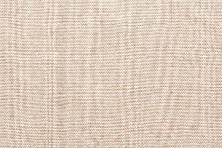 Blank Canvas Backgroundの写真素材