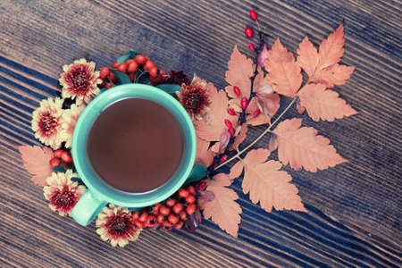 Autumn Background of Cap of Tea with Leaves, Berries and Flowers of Orange, Yellow and Red Colors on the Wooden Backgroundの写真素材