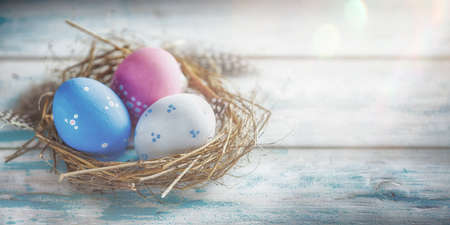 Beautiful Blue, Red and White Eggs in a White Polka-Dot is in a Grass Nest with Feathers in Speckles on a Wooden Background with Sunlightの写真素材