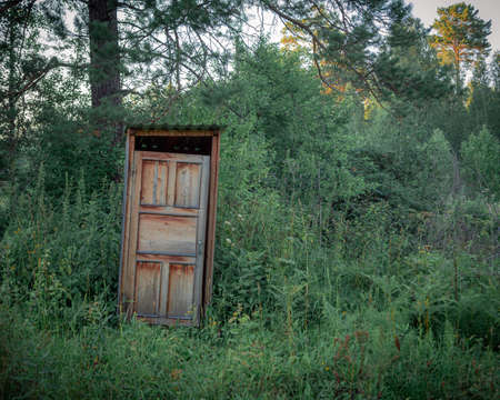 Wooden rural toilet in a forest coloredの写真素材