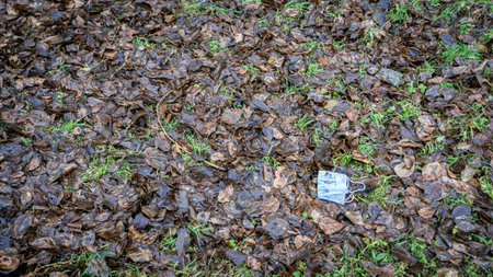 an used medical mask on the groundの写真素材