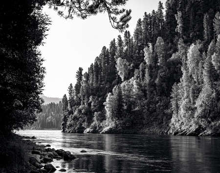 The landscape with Biya river in Altayの写真素材