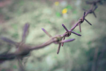 A barbed wire steel close up with green backgroundの写真素材