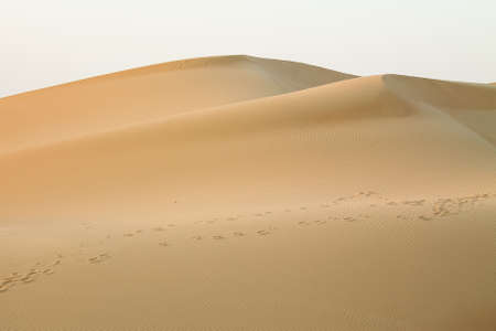 Footprints in the Dubai dunesの写真素材