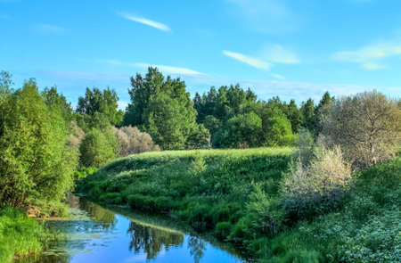 Beautiful green summer viewの写真素材