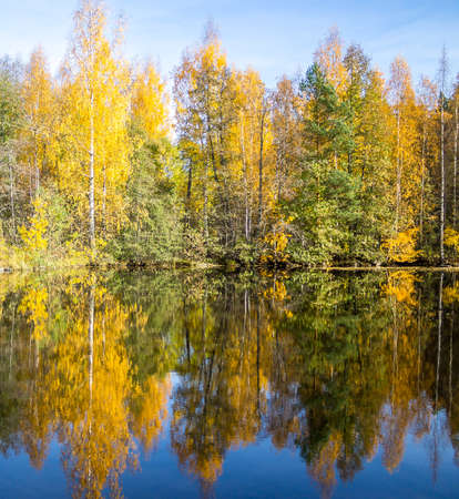 Beautiful autumn reflections on a calm lakeの写真素材
