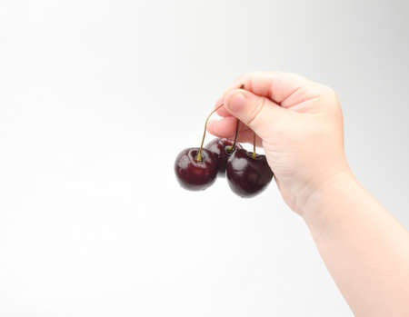 a child's hand holds three cherriesの写真素材