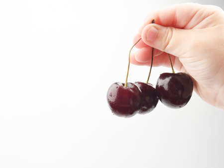 a child's hand holds three cherriesの写真素材