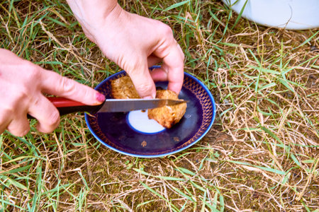Woman tastes cooked meat on a saucer High quality photoの写真素材