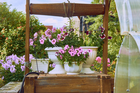 many flowers on the well. High quality photoの写真素材
