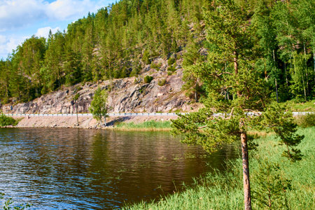 road among rocks near the lake and forest around. Sceneryの写真素材