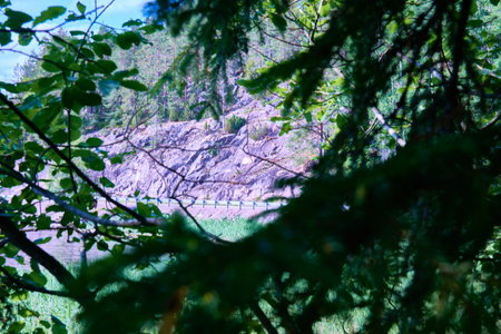 High quality photoの写真素材