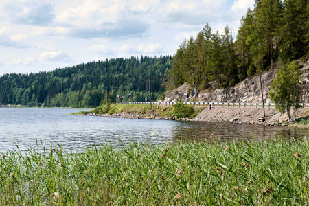 road near the lake and forest around. Sceneryの写真素材