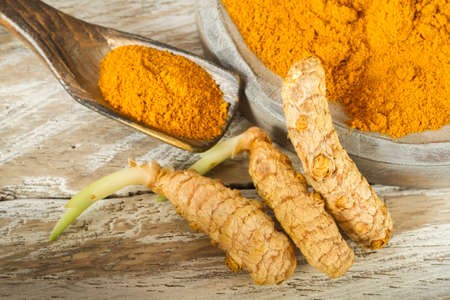 Turmeric powder and rootsの写真素材