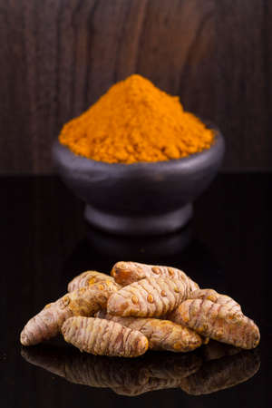 Turmeric powder and rootsの写真素材