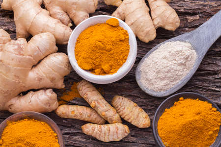 Turmeric powder and roots with gingerの写真素材