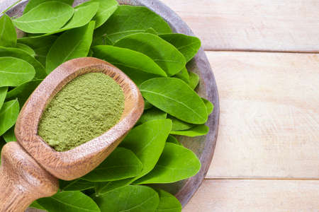 leaves and moringa powder, super food and natural medicine, Moringa oleifera.の写真素材
