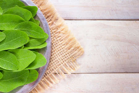 leaves and moringa powder, super food and natural medicine, Moringa oleifera.