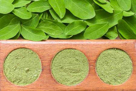 leaves and moringa powder, super food and natural medicine, Moringa oleifera.の写真素材