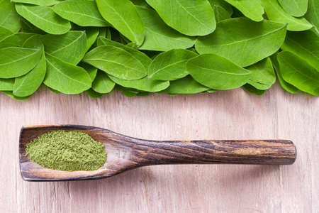 leaves and moringa powder, super food and natural medicine, Moringa oleifera.の写真素材
