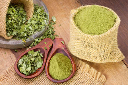 leaves and moringa powder, super food and natural medicine, Moringa oleifera.の写真素材