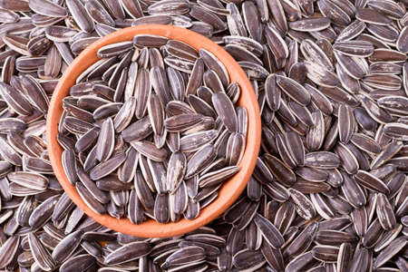 sunflower seeds on the wooden table (Helianthus annuus)の写真素材