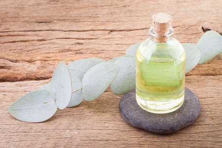 oil and eucalyptus leaves on the wooden table - Eucalyptus degluptaの写真素材