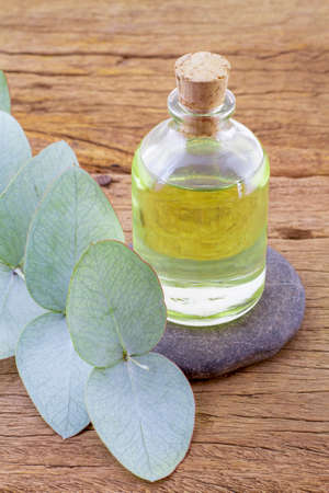 oil and eucalyptus leaves on the wooden table - Eucalyptus degluptaの写真素材