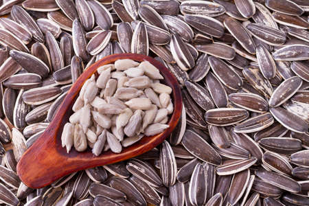 sunflower seeds on the wooden table (Helianthus annuus)の写真素材
