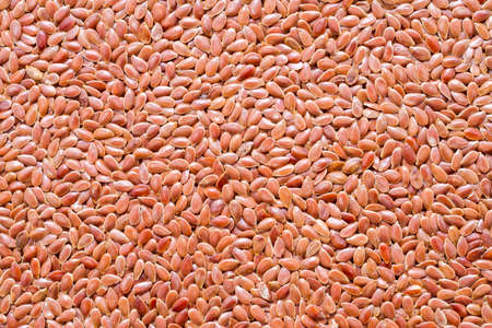 Linseed grains on the table- Linum usitatissimumの写真素材