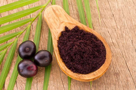 Acai fruit, fruit of Amazonian origin are attributed many medicinal propertiesの写真素材