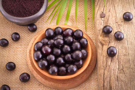 Acai fruit, fruit of Amazonian origin are attributed many medicinal propertiesの写真素材