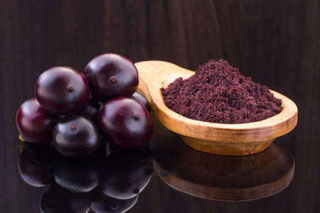 Acai fruit, fruit of Amazonian origin are attributed many medicinal propertiesの写真素材