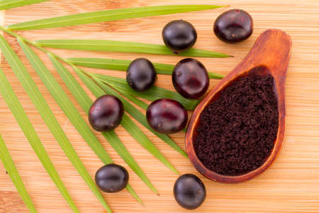 Acai fruit, fruit of Amazonian origin are attributed many medicinal propertiesの写真素材