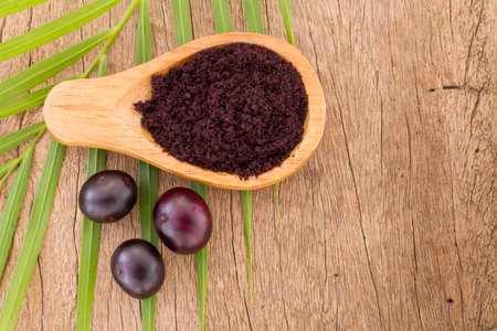 Acai fruit, fruit of Amazonian origin are attributed many medicinal propertiesの写真素材