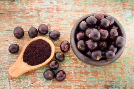 Acai fruit, fruit of Amazonian origin are attributed many medicinal propertiesの写真素材
