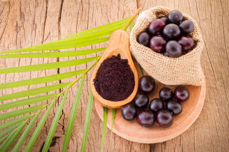 Acai fruit, fruit of Amazonian origin are attributed many medicinal propertiesの写真素材