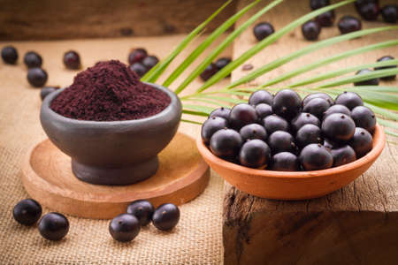 Acai fruit, fruit of Amazonian origin are attributed many medicinal propertiesの写真素材