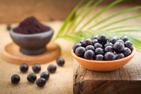 Acai fruit, fruit of Amazonian origin are attributed many medicinal propertiesの写真素材