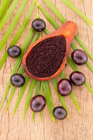 Acai fruit, fruit of Amazonian origin are attributed many medicinal propertiesの写真素材